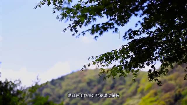 三国志：汉末霸业